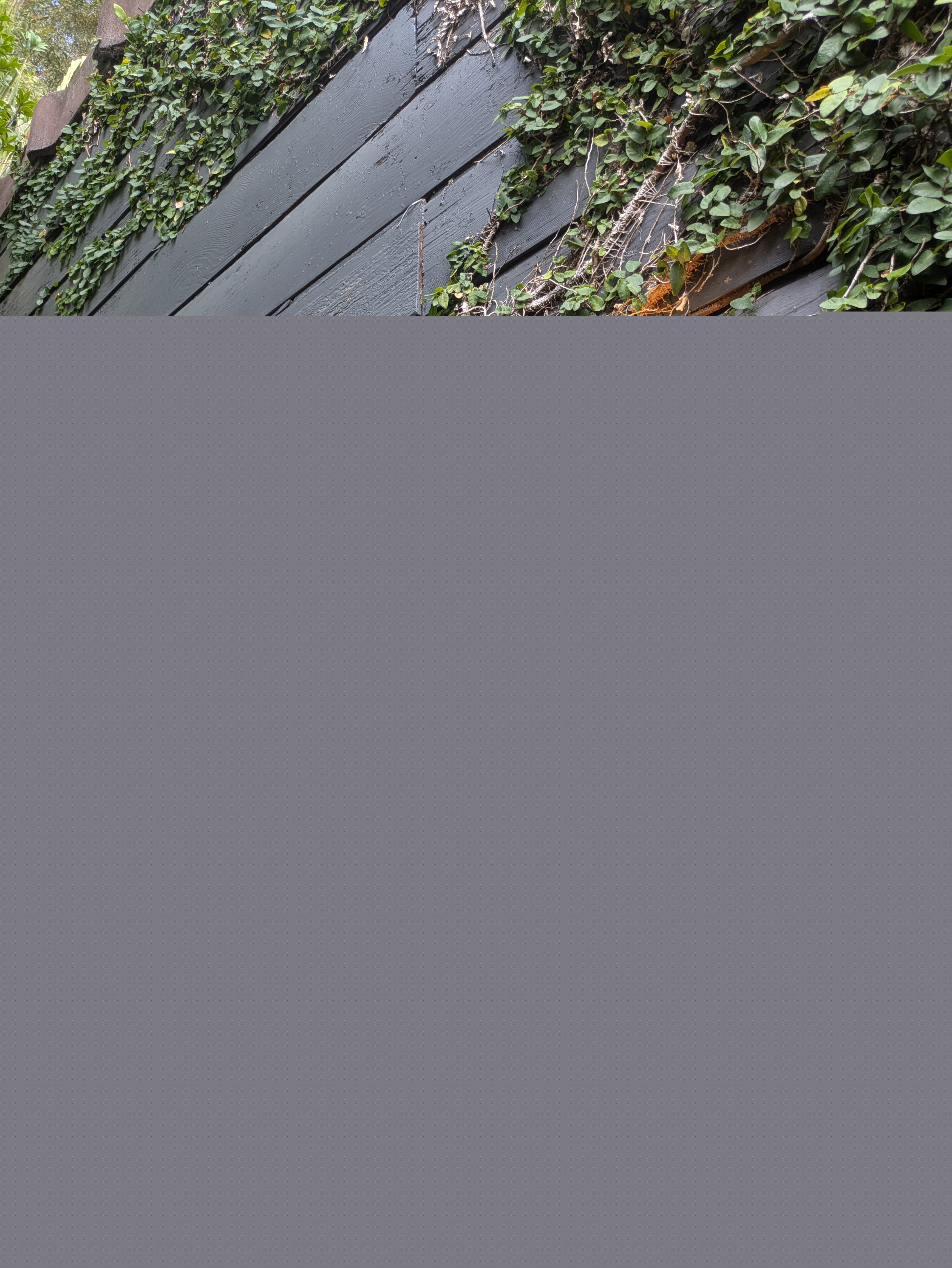 Electrical panel upgrade